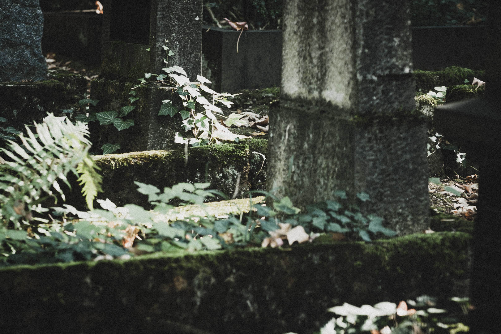 Limburg an der Lahn, Jüdischer Friedhof